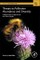 Threats to Pollinator Abundance and Diversity
