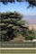 House Behind the Cedars