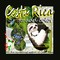 Creations, E: COSTA RICA to add color