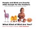 People And Birds Are Exactly Alike Except For The Feathers