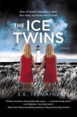 The Ice Twins