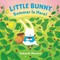 Little Bunny, Summer Is Here!