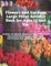 Flowers and Gardens Large Print Activity Book for Ages 12 and Up