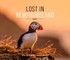 Lost in Newfoundland: Volume 2
