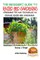 A Beginner's Guide to Raised Bed Gardening