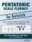Pentatonic Scale Fluency
