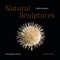 Mischa Erben - Natural Sculptures