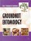 Groundnut Entomology