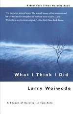 What I Think I Did