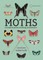 Moths