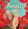 Mister Snail