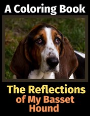 The Reflections of My Basset Hound