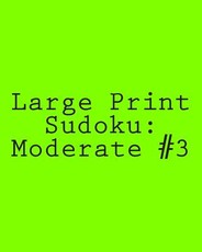 Large Print Sudoku
