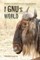 The Gnu's World