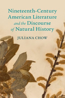 希少　The Theory of American Literature Nineteenth-Century American Literature and the Discourse of