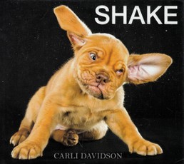 Shake