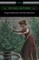 Young Goodman Brown and Other Short Stories