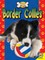 Border Collies