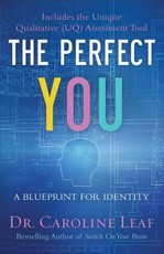 The Perfect You: A Blueprint for Identity