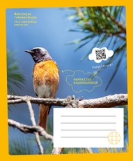 Sąsiuvinis RAUDONUODEGĖ, 12 l., langeliais, nuo 3 kl.