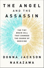 The Angel and the Assassin