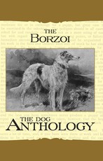 Borzoi