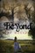 Beyond the Hollow