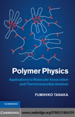 Polymer Physics