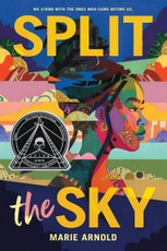 Split the Sky (Coretta Scott King Author Honor Title)