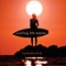 Surfing Life Waves