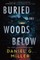 Buried in the Woods Below (Standard Edition)