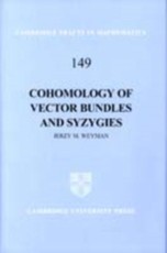 Cohomology of Vector Bundles and Syzygies