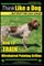 Wirehaired Pointing Griffon, Wirehaired Pointing Griffon Training - Think Like a Dog But Don't Eat Your Poop! - Wirehaired Pointing Griffon Breed Expert Training -