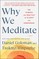Why We Meditate