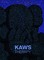 KAWS: THERAPY