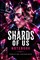Shards of us Notebook