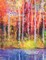 Books of the Bible Psalms Extra Large Print 20 Point