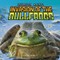 Invasion of the Bullfrogs