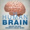 The Human Brain - Biology for Kids | Children's Biology Books