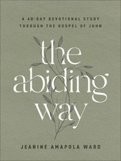The Abiding Way