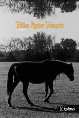 Trillion Amber Trumpets