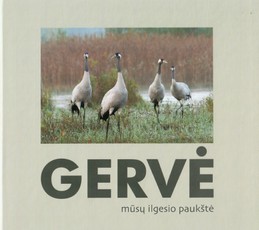 Gervė mūsų ilgesio paukštė
