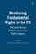 Monitoring Fundamental Rights in the EU