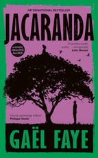 Jacaranda