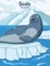 Seals Coloring Book 1