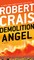Demolition Angel