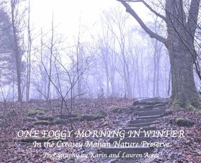 One Foggy Morning in Winter