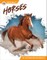 Horses