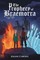 The Prophecy of Braemorra