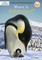 Where Is Antarctica?